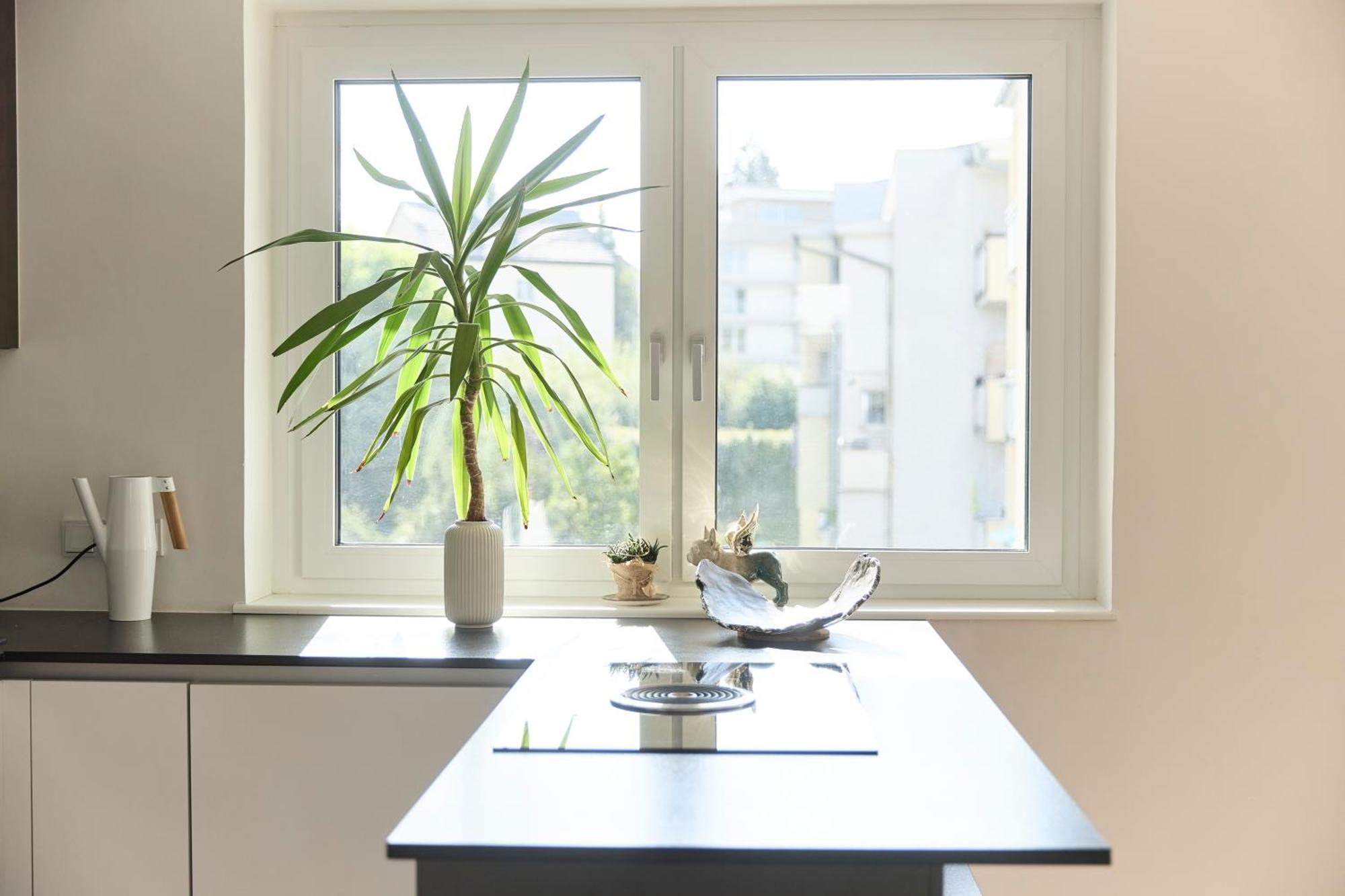 Helle Wohnung In Top Lage! Linz Esterno foto